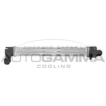 Intercooler, échangeur AUTOGAMMA OEM 8200880552