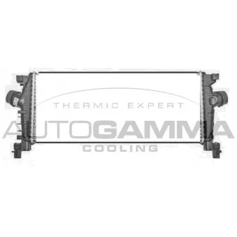 Intercooler, échangeur AUTOGAMMA OEM 13330387