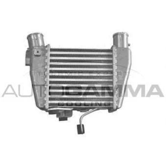 Intercooler, échangeur AUTOGAMMA 107319