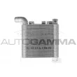 AUTOGAMMA 107321 - Intercooler, échangeur
