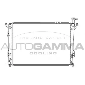 Radiateur, refroidissement du moteur AUTOGAMMA OEM 253102B970