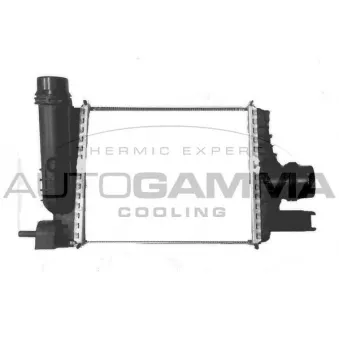 Intercooler, échangeur AUTOGAMMA OEM 144961381R