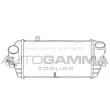 AUTOGAMMA 107340 - Intercooler, échangeur