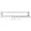 Radiateur, refroidissement du moteur AUTOGAMMA [107363]