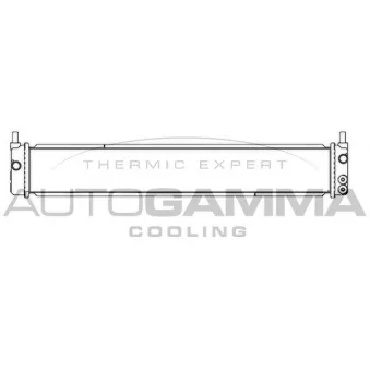 Radiateur, refroidissement du moteur AUTOGAMMA OEM G901047050