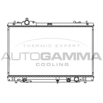 AUTOGAMMA 107366 - Radiateur, refroidissement du moteur