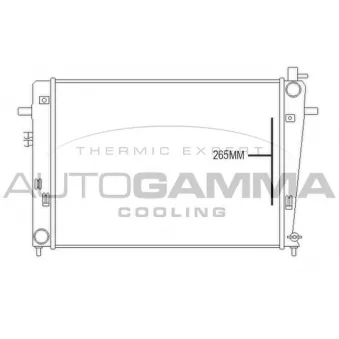 Radiateur, refroidissement du moteur AUTOGAMMA 107375