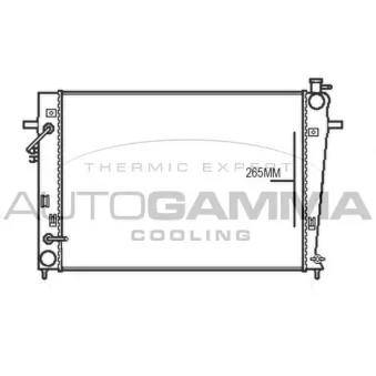 AUTOGAMMA 107376 - Radiateur, refroidissement du moteur