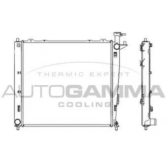 Radiateur, refroidissement du moteur AUTOGAMMA OEM 253102P160