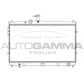 Radiateur, refroidissement du moteur AUTOGAMMA 107391
