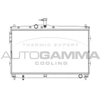 Radiateur, refroidissement du moteur AUTOGAMMA 107392