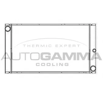 Radiateur, refroidissement du moteur AUTOGAMMA OEM 7795138