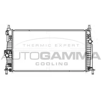 Radiateur, refroidissement du moteur AUTOGAMMA 107425