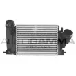 AUTOGAMMA 107469 - Intercooler, échangeur