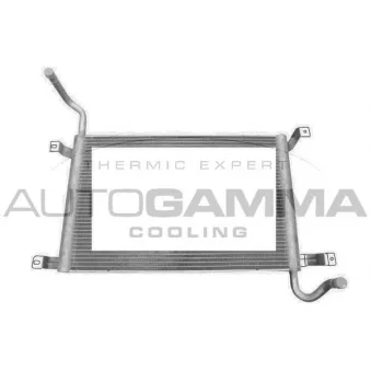 AUTOGAMMA 107493 - Radiateur, refroidissement du moteur