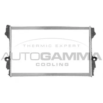 Radiateur, refroidissement du moteur AUTOGAMMA 107497