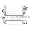 Intercooler, échangeur AUTOGAMMA [107509]