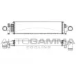 AUTOGAMMA 107510 - Intercooler, échangeur