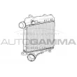 Intercooler, échangeur AUTOGAMMA [107554]
