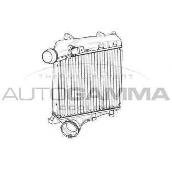 AUTOGAMMA 107554 - Intercooler, échangeur