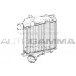 AUTOGAMMA 107555 - Intercooler, échangeur