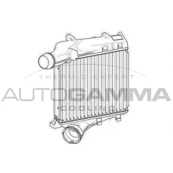 AUTOGAMMA 107555 - Intercooler, échangeur
