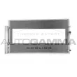AUTOGAMMA 107610 - Condenseur, climatisation