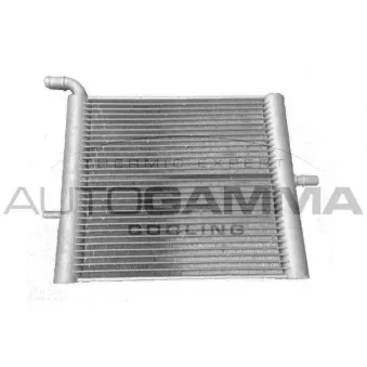 Radiateur, refroidissement du moteur AUTOGAMMA OEM LR062670