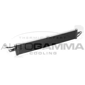 Radiateur, refroidissement du moteur AUTOGAMMA 107688