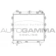 Radiateur, refroidissement du moteur AUTOGAMMA [107702]