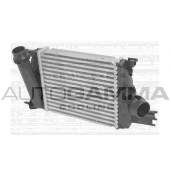 Intercooler, échangeur AUTOGAMMA OEM 144963014R