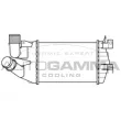 AUTOGAMMA 107742 - Intercooler, échangeur