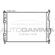 AUTOGAMMA 107756 - Radiateur, refroidissement du moteur