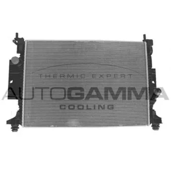 AUTOGAMMA 107764 - Radiateur, refroidissement du moteur