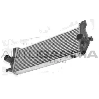 Intercooler, échangeur AUTOGAMMA OEM PCM500020