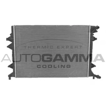 AUTOGAMMA 107811 - Radiateur, refroidissement du moteur