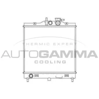 Radiateur, refroidissement du moteur AUTOGAMMA OEM 2531007110