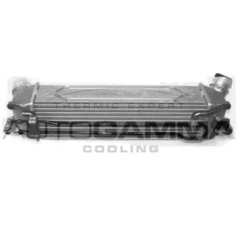 Intercooler, échangeur AUTOGAMMA 107864