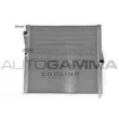 AUTOGAMMA 107936 - Radiateur, refroidissement du moteur