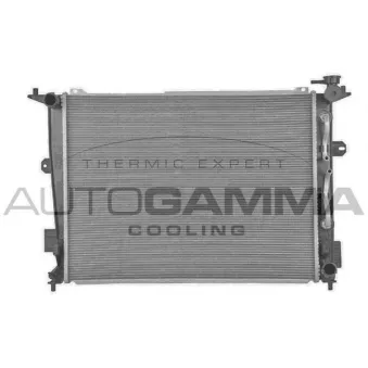 Radiateur, refroidissement du moteur AUTOGAMMA 107955