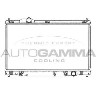 Radiateur, refroidissement du moteur AUTOGAMMA 107968