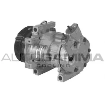 Compresseur, climatisation AUTOGAMMA 108014