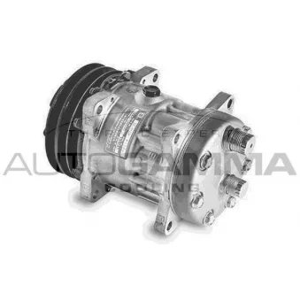 Compresseur, climatisation AUTOGAMMA 108051