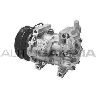 Compresseur, climatisation AUTOGAMMA 108063