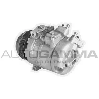 Compresseur, climatisation AUTOGAMMA OEM 64528379924