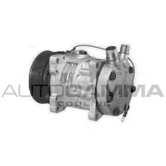 Compresseur, climatisation AUTOGAMMA 108234