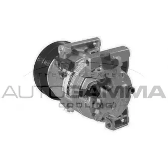 Compresseur, climatisation AUTOGAMMA OEM 926001F710