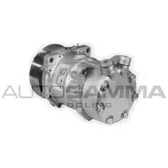 Compresseur, climatisation AUTOGAMMA 108396