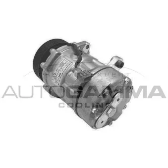 Compresseur, climatisation AUTOGAMMA 108403
