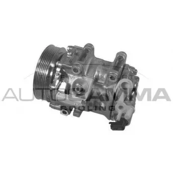 Compresseur, climatisation AUTOGAMMA 108421
